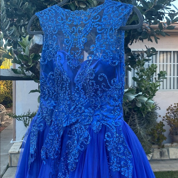 Royal Blue Lace & Tulle Floor-Length Ball Gown with Built-In Petticoat - Picture 4 of 17